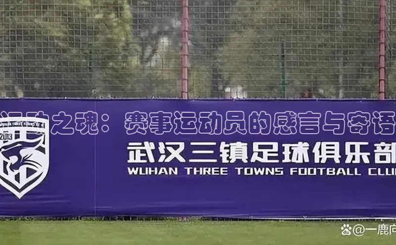 运动之魂：赛事运动员的感言与寄语