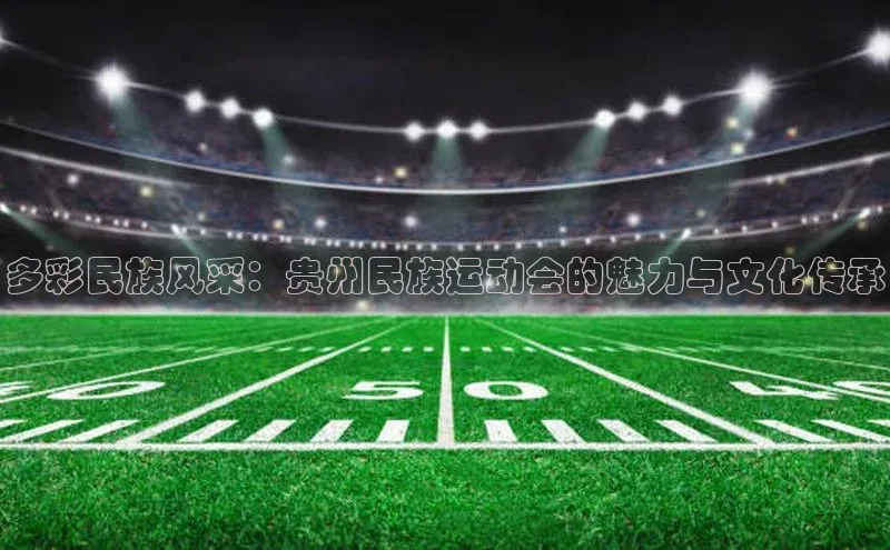 多彩民族风采：贵州民族运动会的魅力与文化传承